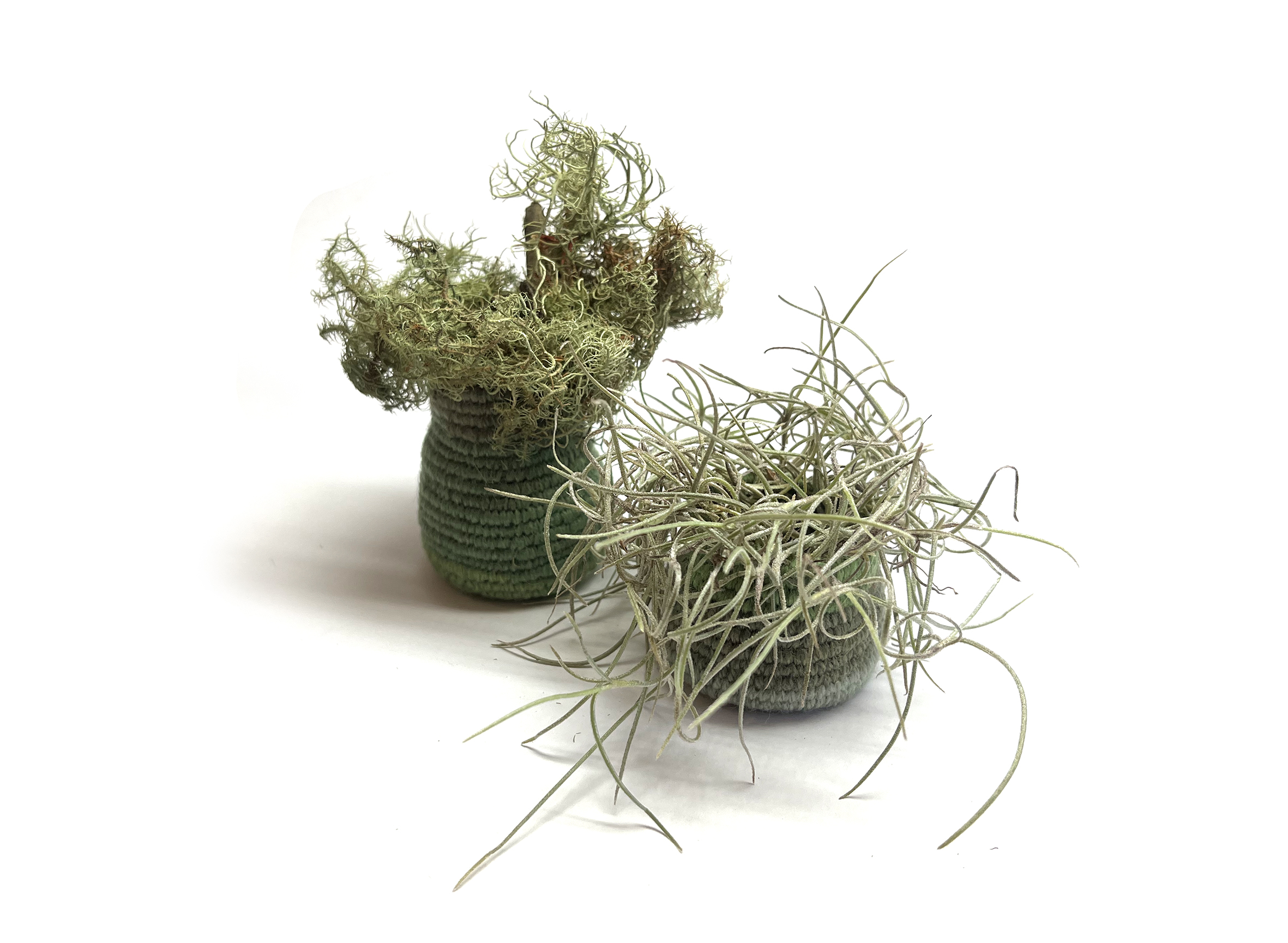 Melinda Young Australian Design Centre