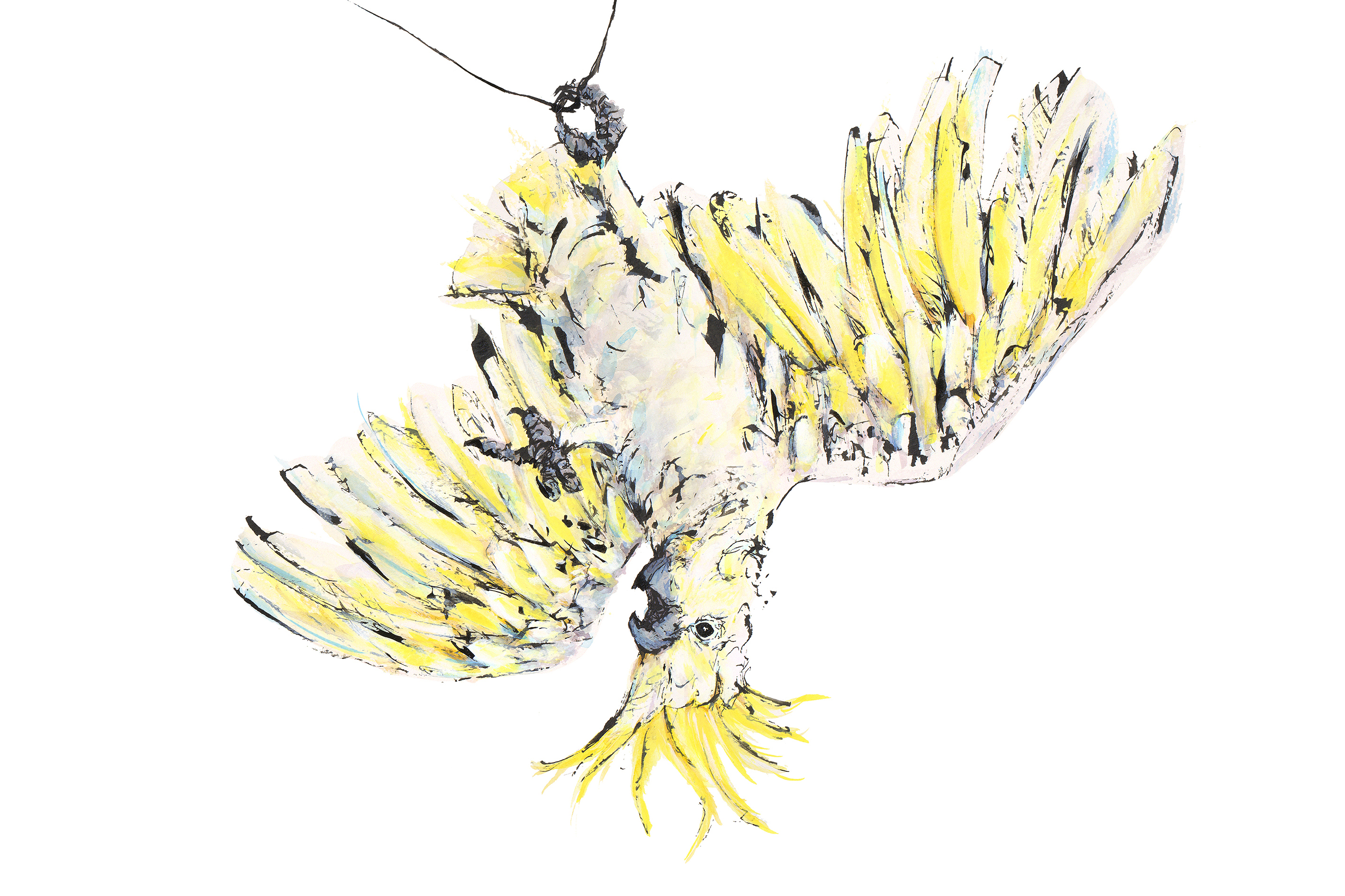 Shannon Dwyer, Cockatoo, 2024 Photo Courtesy of the Artist